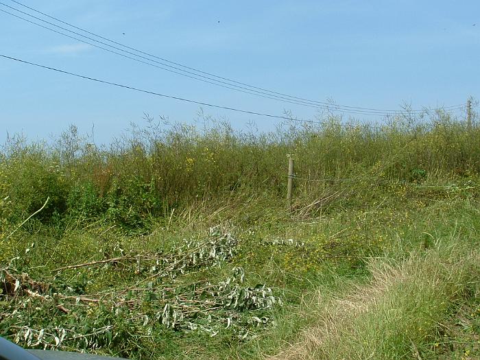 2 Clearing the Field (2)